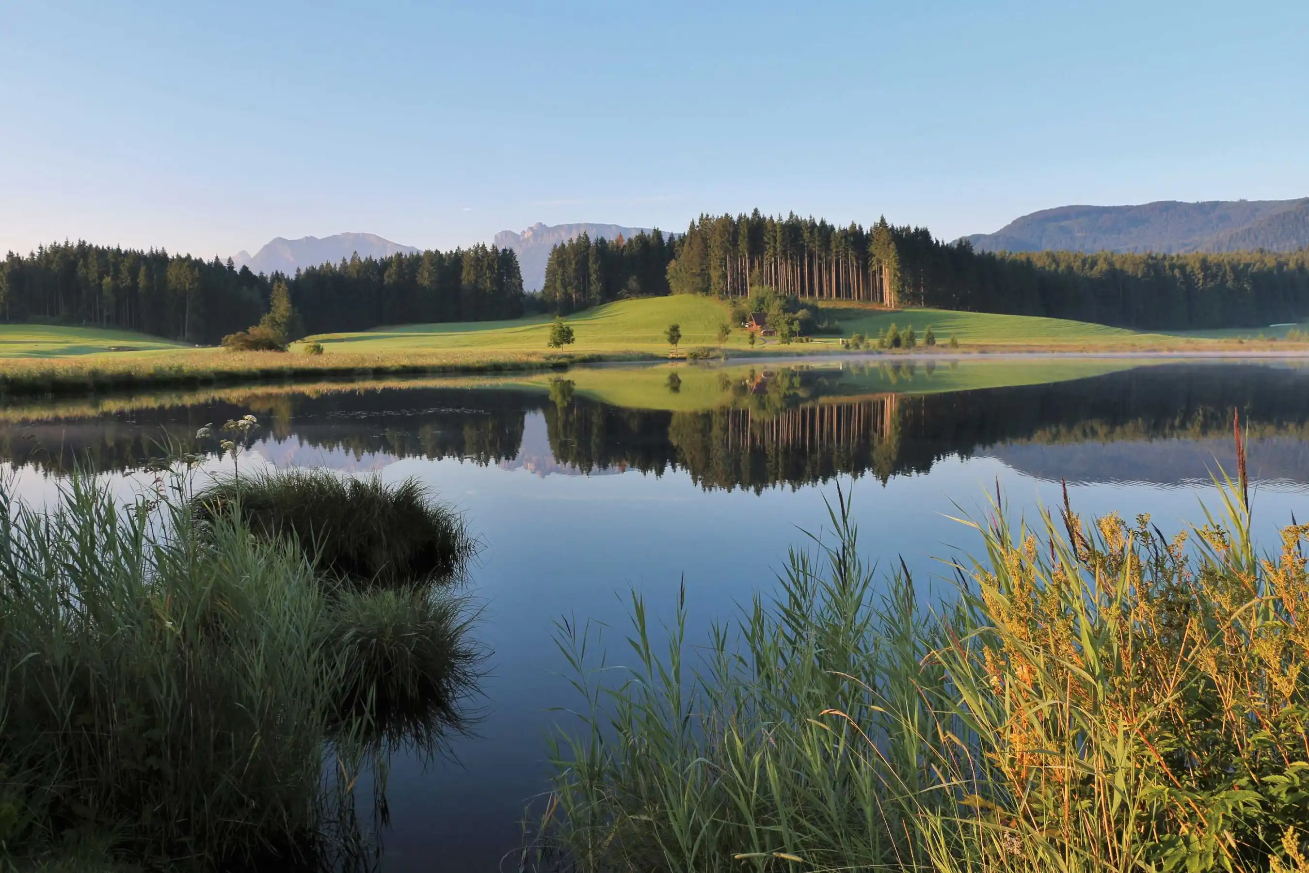 Sommerurlaub Allgäu