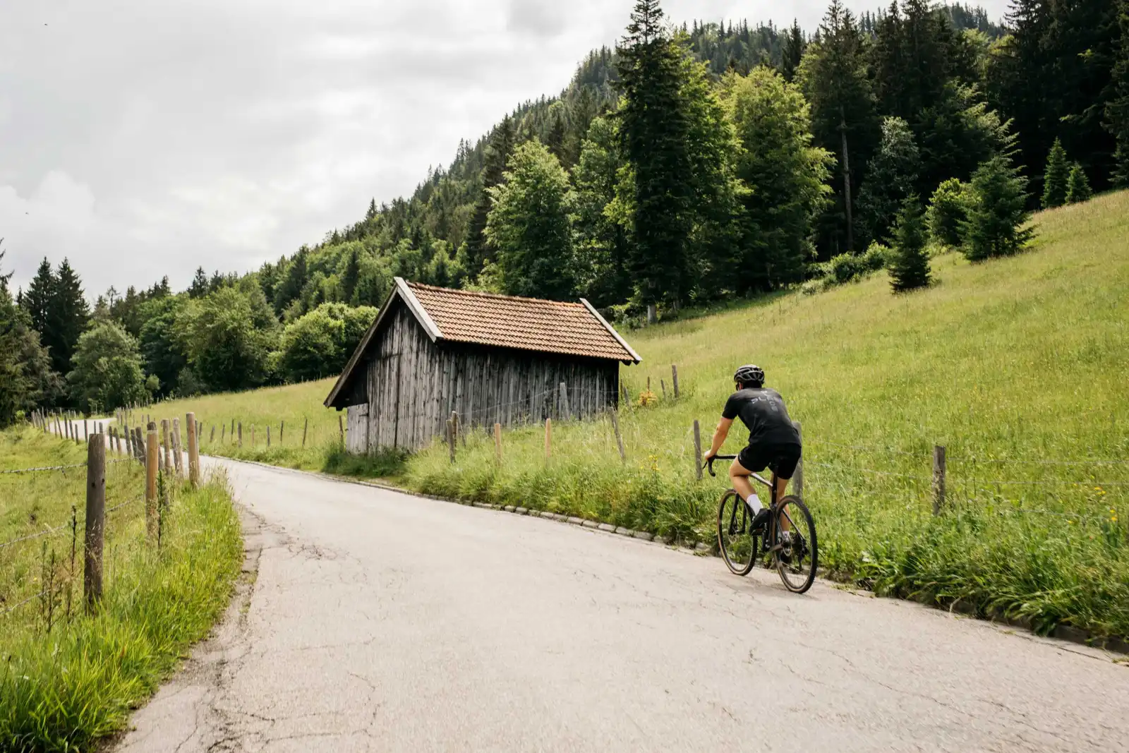 Zirmgrat-Salober-Rundtour 